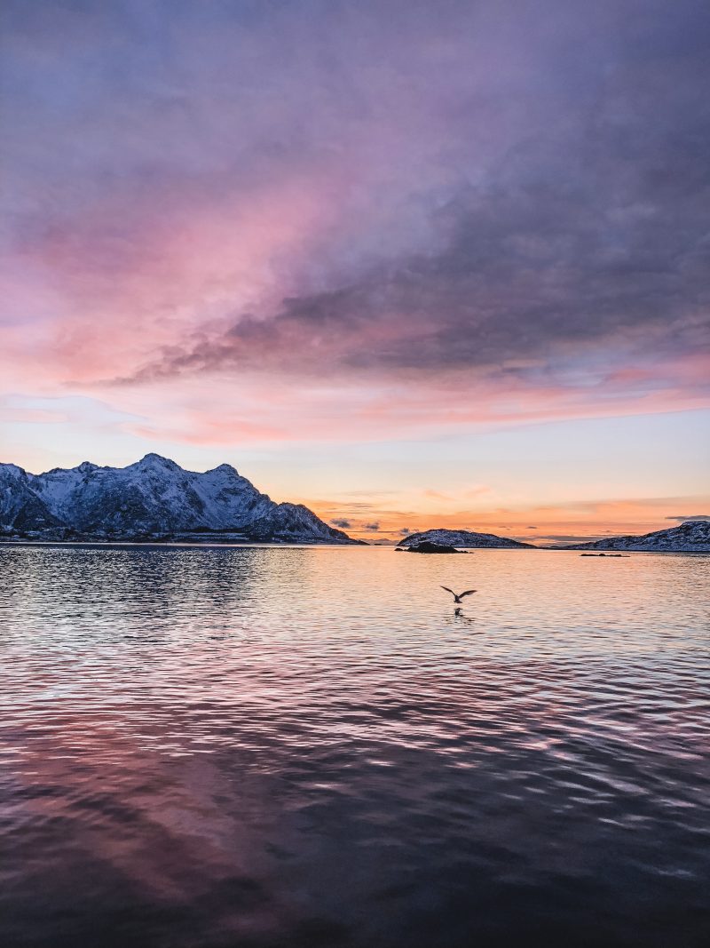 Winter Itinerary for a Long Weekend in Northern Norway: Lofoten Islands